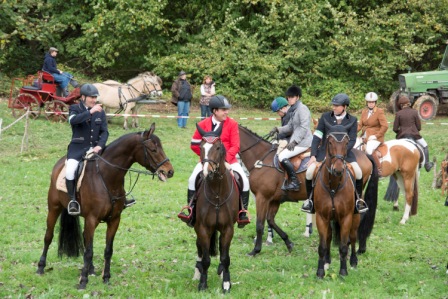 Fuchsjagd27.10.2013_260.jpg